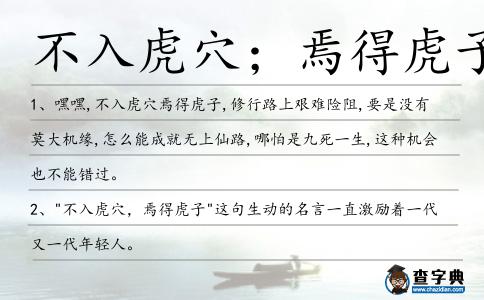 不入虎穴；焉得虎子造句