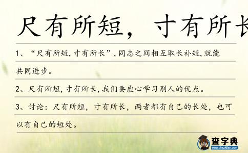 尺有所短,寸有所長造句