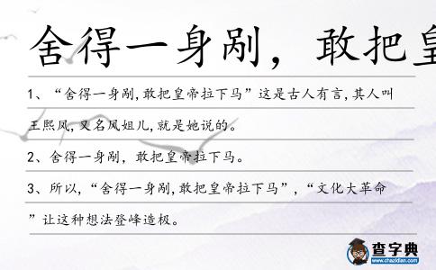 舍得一身剮,敢把皇帝造句