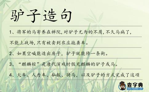 驢子造句
