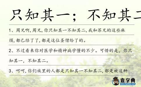 只知其一；不知其二造句