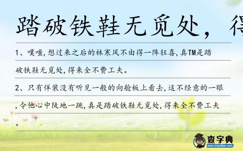 踏破鐵鞋無覓處,得來全不費(fèi)造句