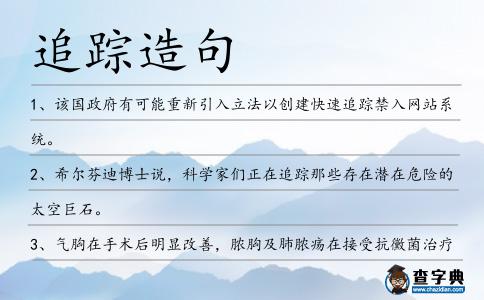 追蹤造句