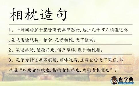 相枕造句