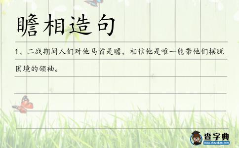 瞻相造句