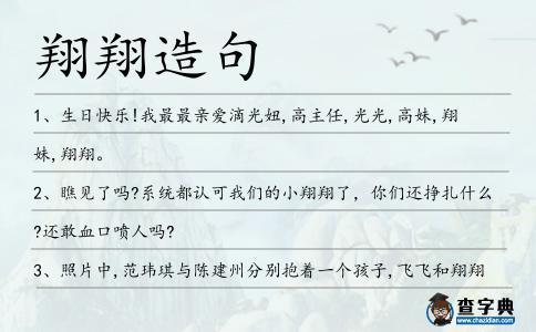 翔翔造句