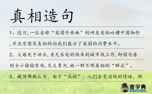 真相造句