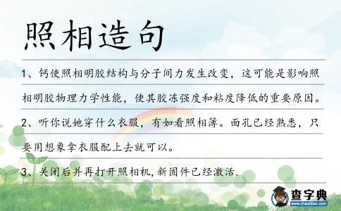 照相造句