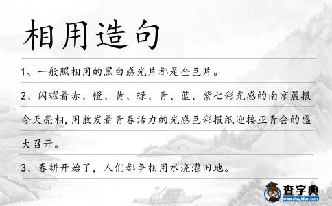 相用造句