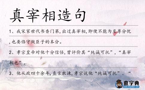 真宰相造句