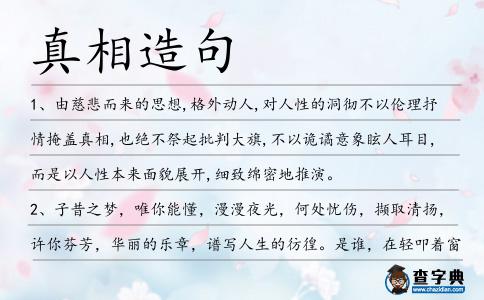 真相造句