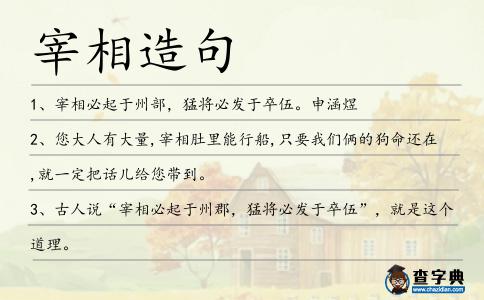 宰相造句
