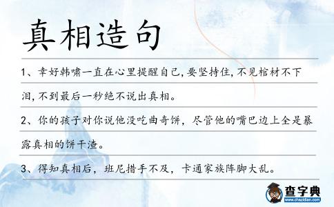 真相造句