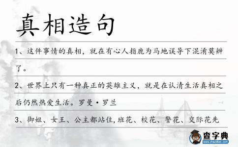 真相造句