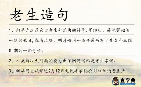 老生造句