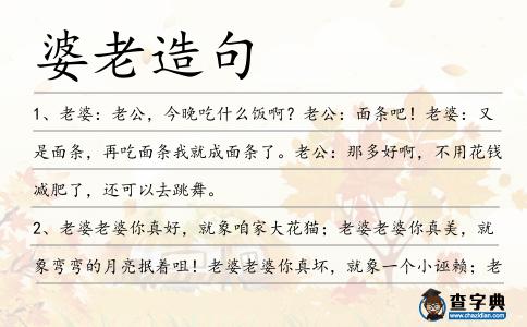婆老造句