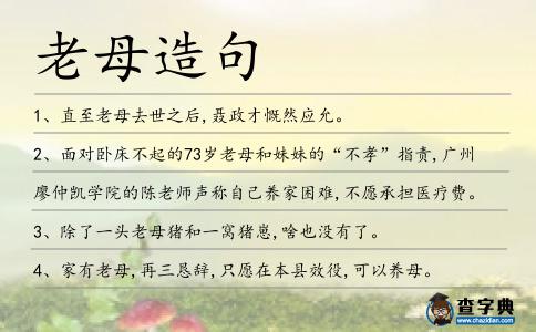 老母造句