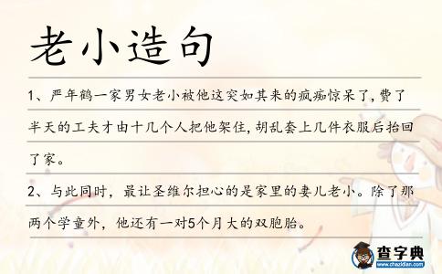 老小造句