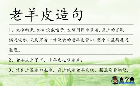 老羊皮造句
