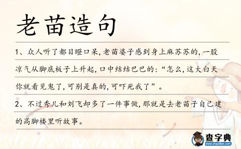 老苗造句