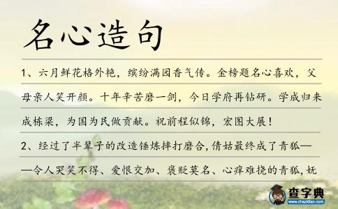 名心造句