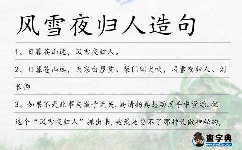 風雪夜歸人造句