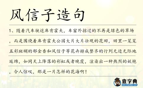 風(fēng)信子造句
