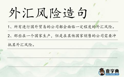 外匯風險造句