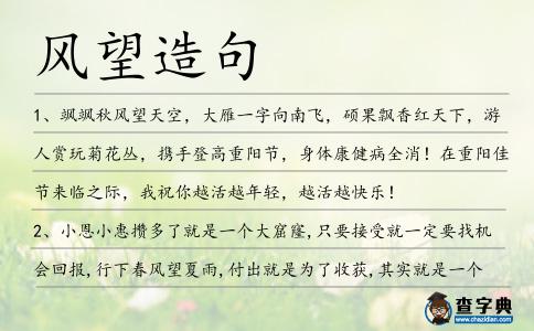 風望造句