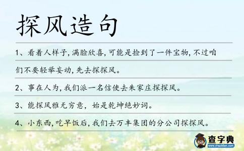 探風造句