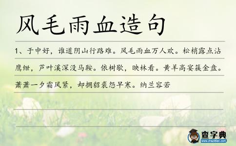 風毛雨血造句