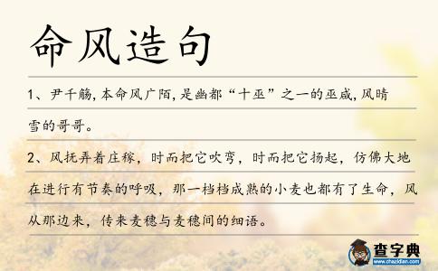 命風造句