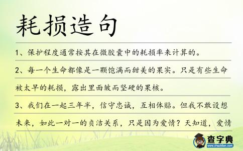 耗損造句