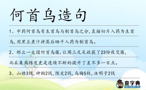 何首烏造句