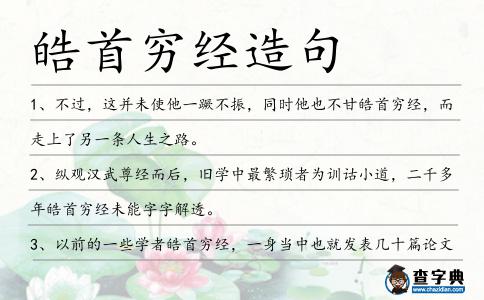 皓首窮經造句