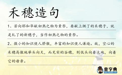 禾穗造句