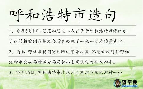 呼和浩特市造句