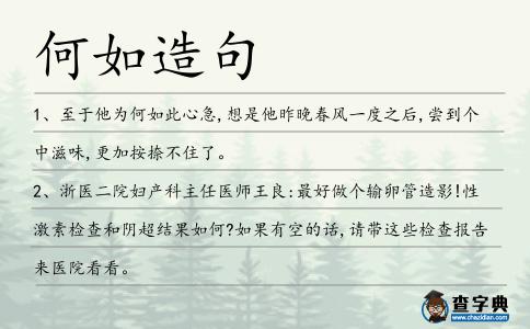 何如造句