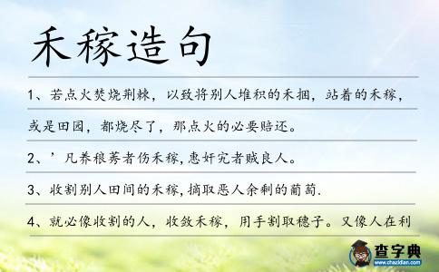 禾稼造句