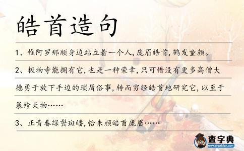 皓首造句