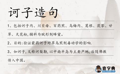 訶子造句