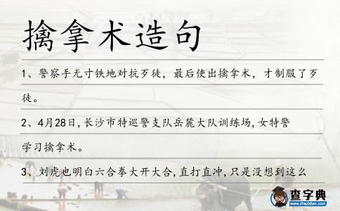 擒拿術造句