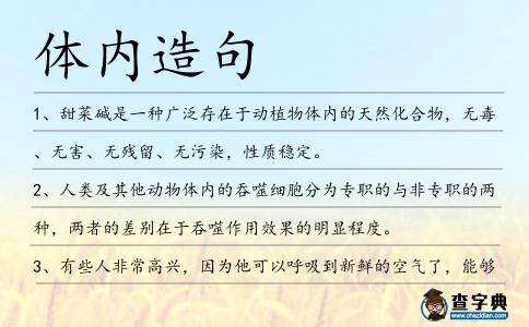 體內造句
