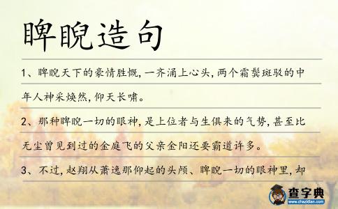 睥睨造句