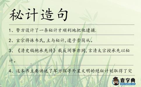 秘計造句