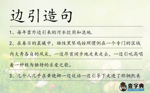 邊引造句