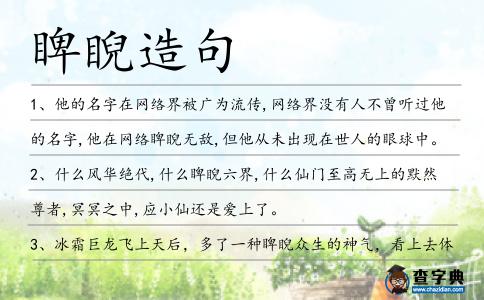 睥睨造句
