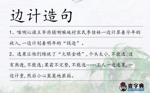 邊計(jì)造句