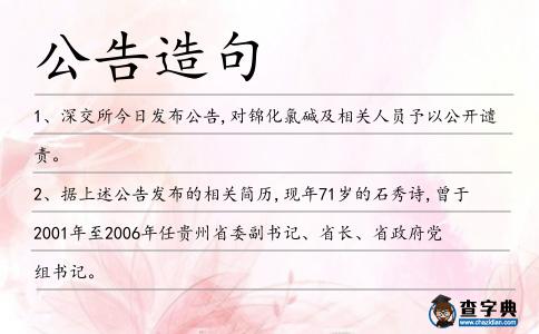 公告造句