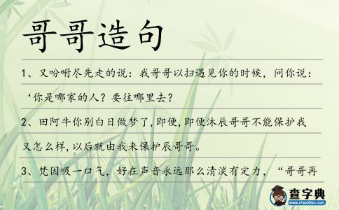 哥哥造句